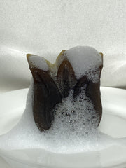 Purity Neem Bar